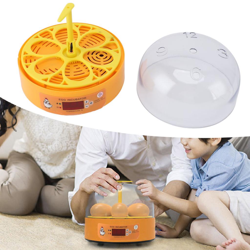 Egg Incubator 6 Eggs Smart Egg Hatchery Temperature Control Manual Egg Turning Poultry Incubator for Hatching Chicken   Eggs