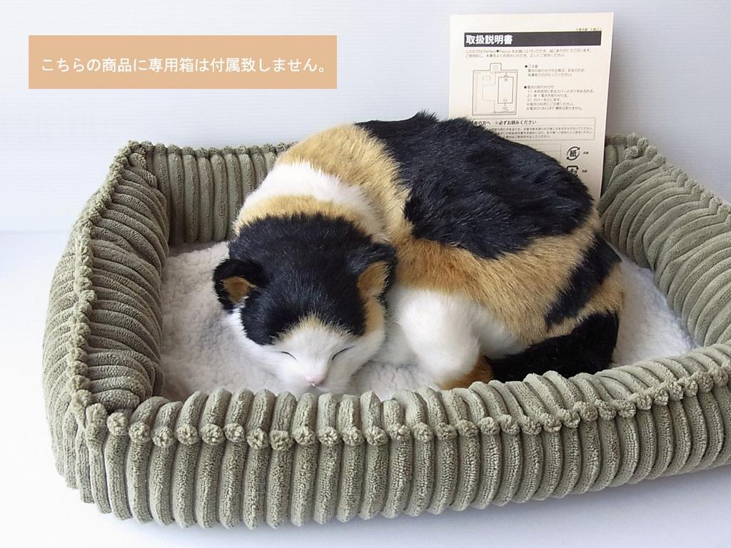 Ninian and Kino Perfect Pet Calico Cat Plush Toy Cat Realistic Calico Cat Calico Cat Goods Animal Healing Moving Present Gift Celebration Cute Cat