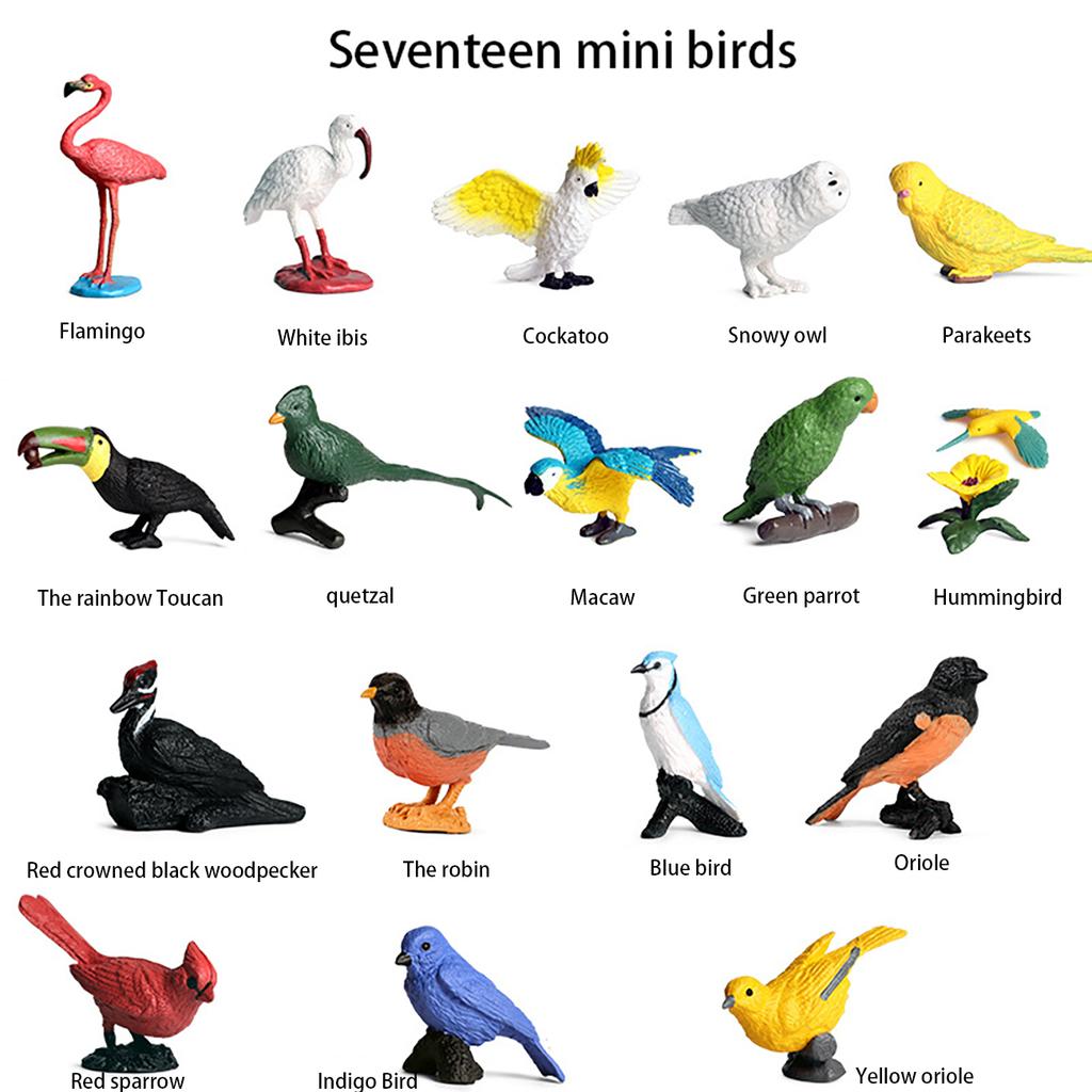 7pcs/10pcs/17pcs Children'S Science Education Cognitive Simulation Wild Bird Animal Model Solid Bird Mini Flamingo Parrot Toucan