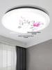 Super Bright LED Ceiling Light: Round Fixture for Living Room, Bedroom, Kitchen, Stairway, and Balcony