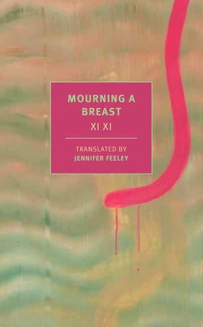 Mourning a Breast by Jennifer Feeley Paperback Book 9781681378220