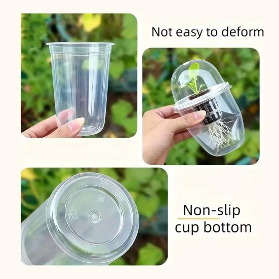 1/2/3/5/6/8/10Pcs Hydroponic Plants Growing Cup with Dome Transparent Plants Germination Pot Gardening Nursery Plants Starting Container