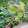 Blume Künstliche Pflanze Wandpaneel DIY Künstliches Farnkraut Haus Garten Zaun