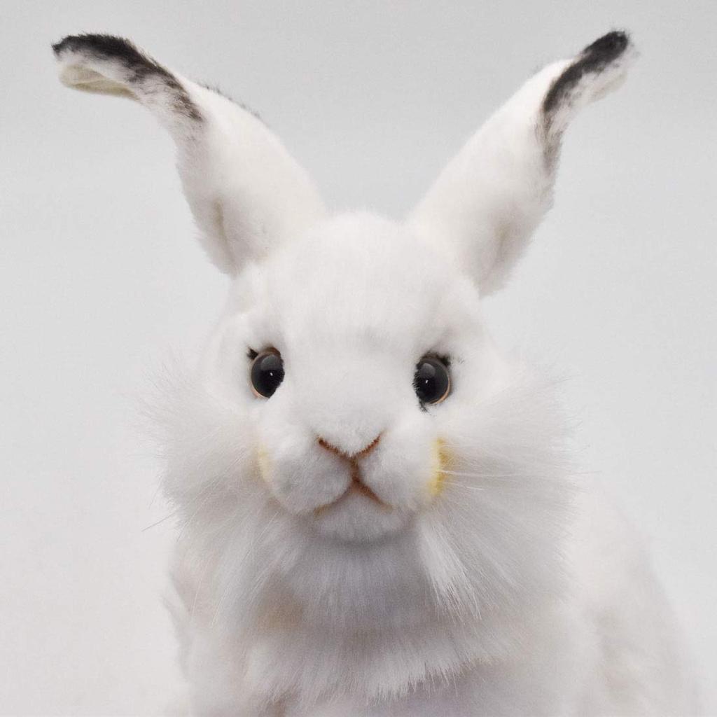 HANSA White Rabbit No.3313