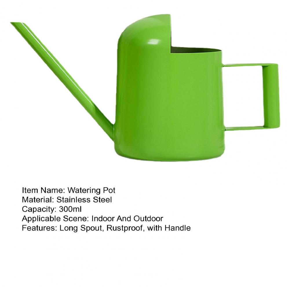 10OZ/300ML Mini Watering Can Stainless Steel Long Spout Sprinkling Pot Plants Small Home Flowers Succulents Garden Watering Pot