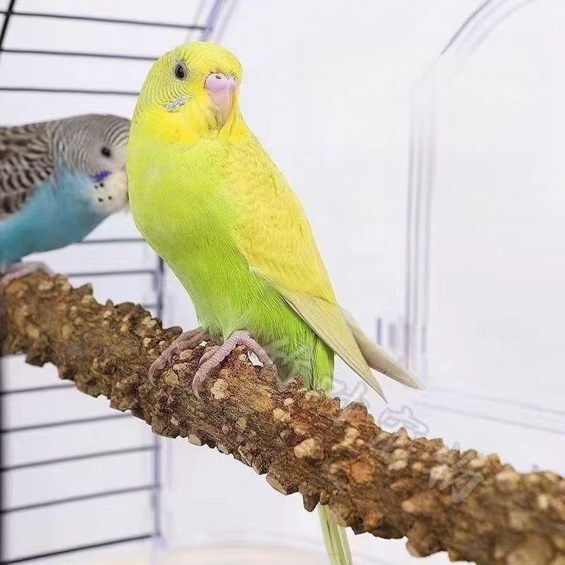 Papageienpfeffer Holzstation Stange Krallenkratzstab Aststation Ast Papageienstation Gestell Holz Vogelspielzeug Zubehör Papageienstation Ast