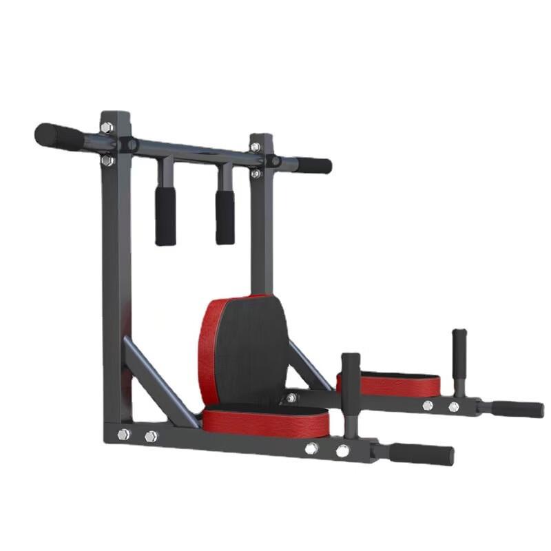 Multi-Functional Wall-Mounted Pull-Up and Dip Station