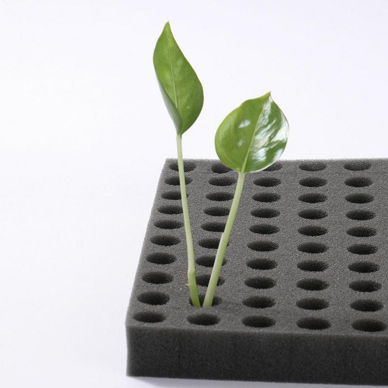 Dirt Resistant Seedling Sponge Soilless Foam Seedling Medium Seed Sponge Cube Growth Square Hydroponics Garden supplies