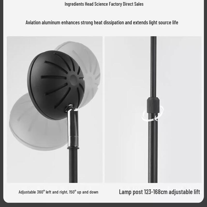 Oeny Retractable LED Floor Lamp