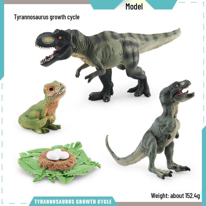 Animal Growth Cycle Models: Chicken, Duck, Goose, Butterfly, Turtle, Frog Montessori Teaching Figurines