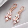 Fashion Small Fresh Ear Hook Copper Inlaid Zircon Women's Earrings High-end Elegant Temperament Stud Earrings Versatile Jewelry