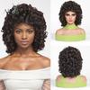 ALAN EATON Women's Kinky Curly Wigs for Black Women Black/Dark Brown Synthetic Wigs Heat Resistant Daily Party