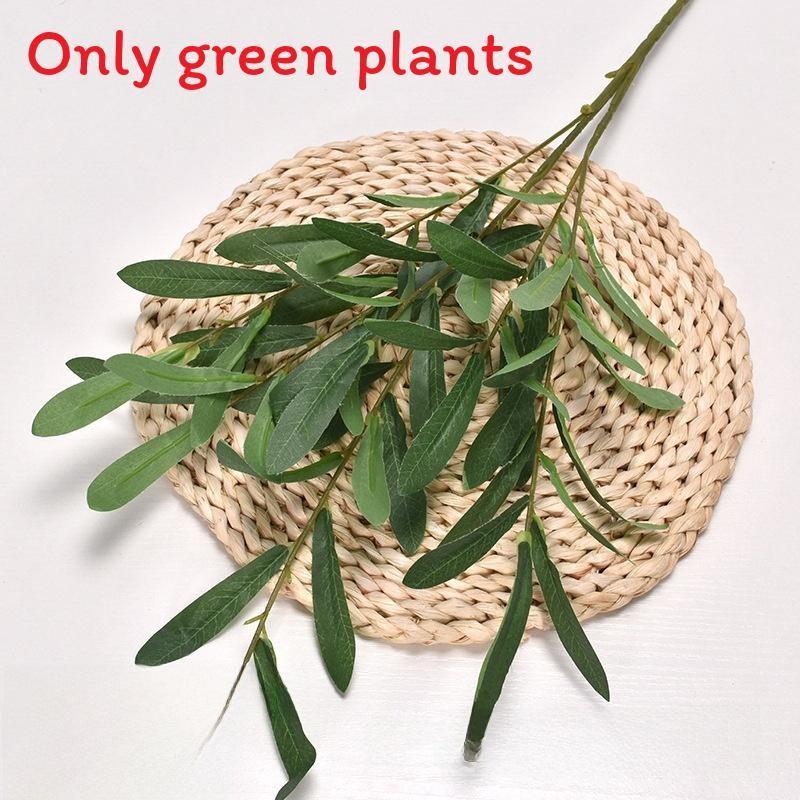 Liebm Deliciosa Monstera And Eucalyptus Citriodora Hook Green Decor Plants