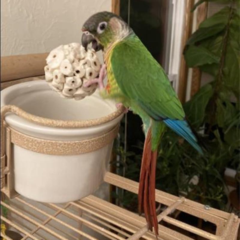 3Pcs Bird Shreddable Sola Balls Parrot Foraging Toy Natural Material for Cockatoo African for Grey Macaw