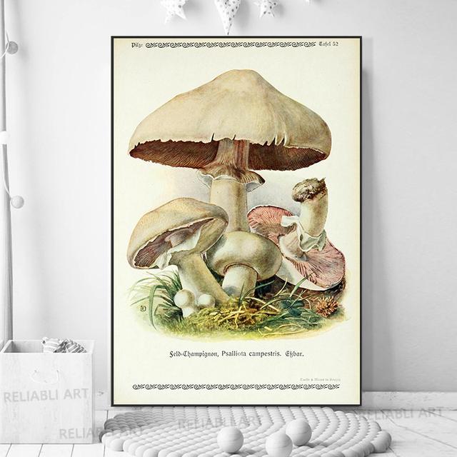Vintage Mushroom Specimen Canvas Painting Antique Wall Art Herbal Pictures Science Posters and Prints Home Office Decor Cuadros