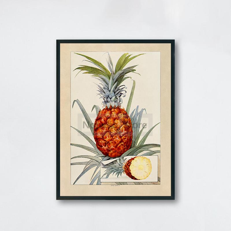 

Винтажный декор для кухни с фруктами Плакат 1900-х годов Художественное произведение с изображением фруктовых деревьев Настенные картины на холсте Домашняя комната Винтажное украшение 21x30cm No Framed
