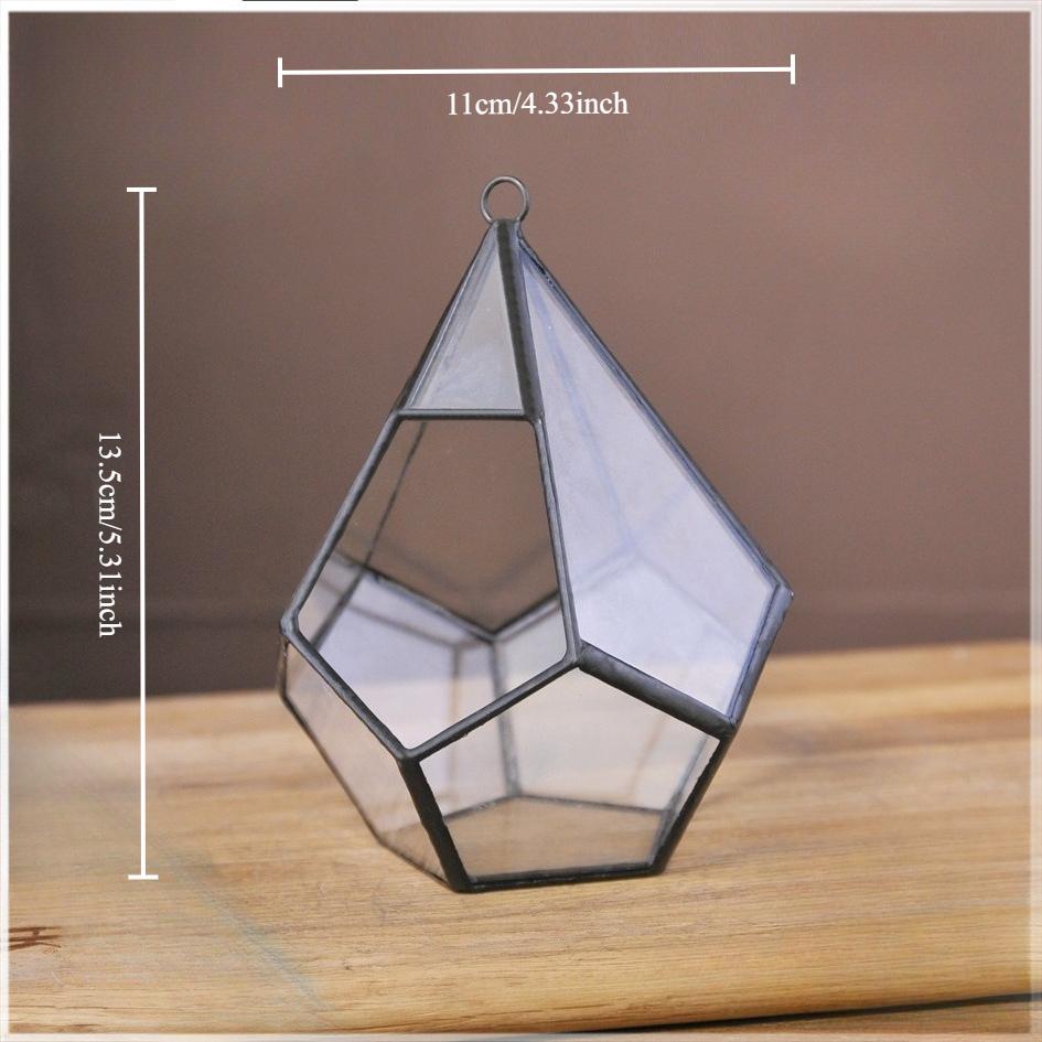 

Micro Landscape Planters Moss Rainforest Aquariums Five-sided Diamond-shaped Glass Conservatories Aquatic Plant Vases