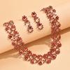 Luxury Necklace Earrings Set Choker Neck Chain Fashion Stud Earrings  Gift Giving