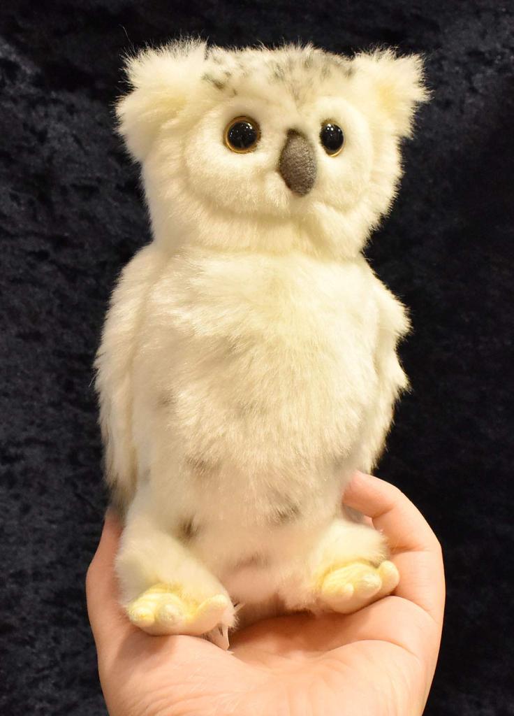 BH6155 HANSA Snowy Owl 18