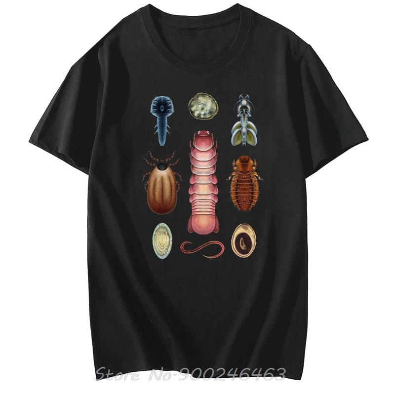 Cottagecore Entomology Tee Vintage Bug TShirt Insect Praying Unisextis Top Gift for Insect Lover Scientific Aesthetic Beetle Shirt