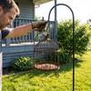 Large Capacity Bird Feeding Station Bird Cage Shape Bird Rest Station Bird Accessories