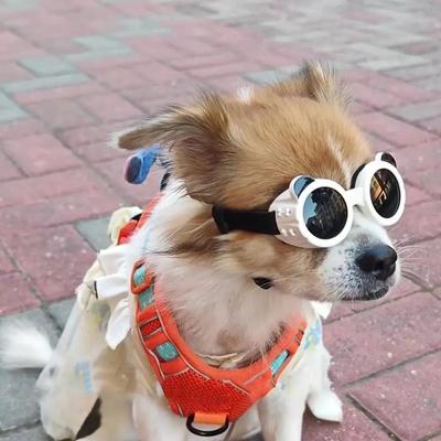 Dog Eye Wear Anti UV Pet Goggles Adjustable Cool Cat Dog Glasses Windproof Rope Round Dog Sun Eyewears Outdoor