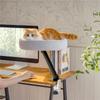 Floating Cat Litter Desktop Cat Bed Office Cat Climbing Frame Desk Cat Climbing Frame
