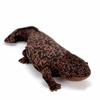 Lilizzhoumax Paleontology Series Giant Salamander Plush Soft Amphibian Stuffed Toy for Boys and Home 50cm Long Toy, Girls, Decor,