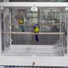 Dayang B6001/B4001 Tempered Glass Birdcage with Double Openings for Parakeets