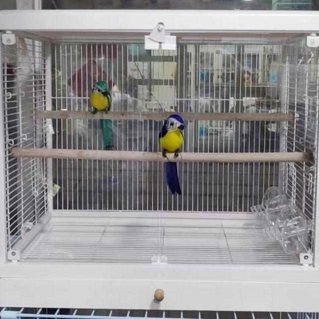 Dayang B6001/B4001 Tempered Glass Birdcage with Double Openings for Parakeets