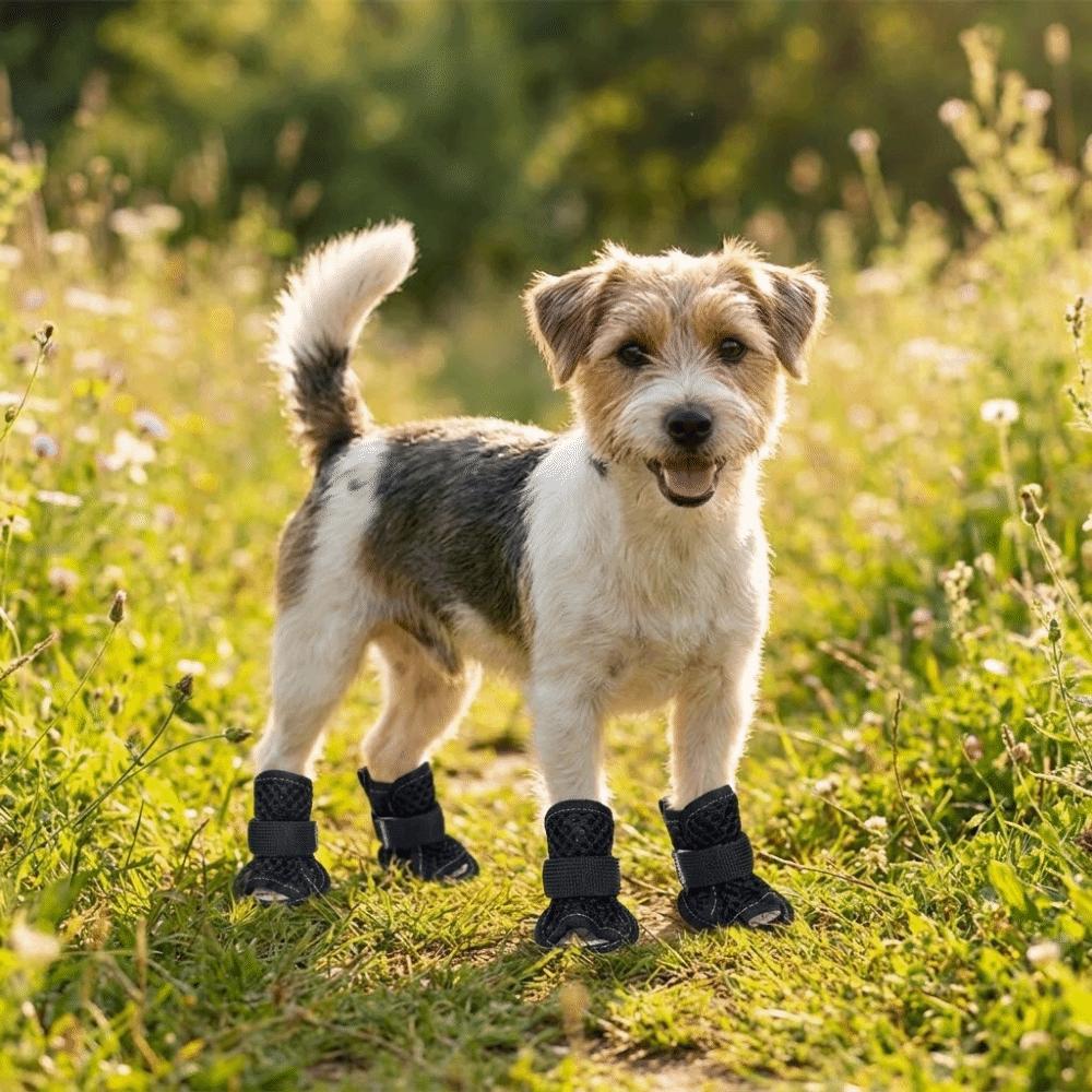 4Pcs/Set Soft Summer Dog Shoes Non-Slip Dog Paw Protector Fashion Hollow Puppy Shoes All Seasons