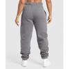 Gymshark Embroidered Oversized Jogger Brushed Grey B1c9z Gchk