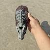 Jurassic Themed Reptiles Shelter Decoration for Amphibians and Crawling Pet Enclosures Resins Hideaways