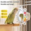 Colorful Ball Parrot Mirror Wear-Resisting Spinning Puzzle Bird Mirror Perch Bite Resistant Bird Cage Decor