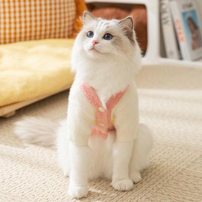 Cat Autumn and Winter Warm Rainbow Striped Cardigan Sweater Puppy Dog Hairless Cat Knitted Two-legged Pet Cat Clothes