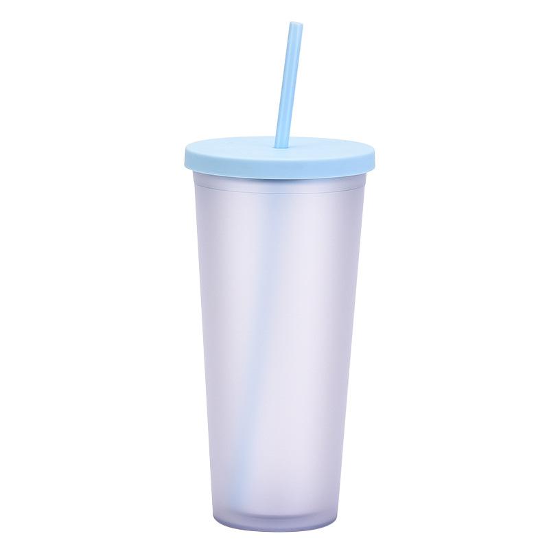 Double-Layer Plastic Straw Cup, Matte Cup, Outdoor Sports Water Cup