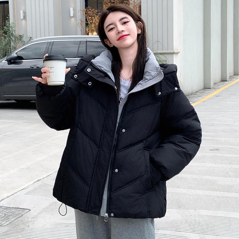 Down and Cotton Jacket Women's Winter 2025 New Loose and Versatile Korean Chic Niche Gentle Style Hooded Padded Jacket Jacket