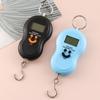 Express Scale Travel Digital Hanging Scales Multifunction Scales Luggage Scale Electronic Scale
