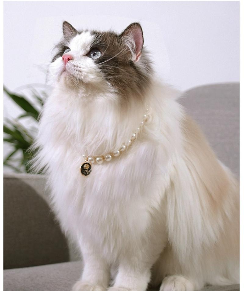 Vintage Perlen Verstellbares Haustierhalsband für Katzen und Hunde Niedliche Hochwertige Dekorationshalsband-Accessoire für Welpen Kätzchen