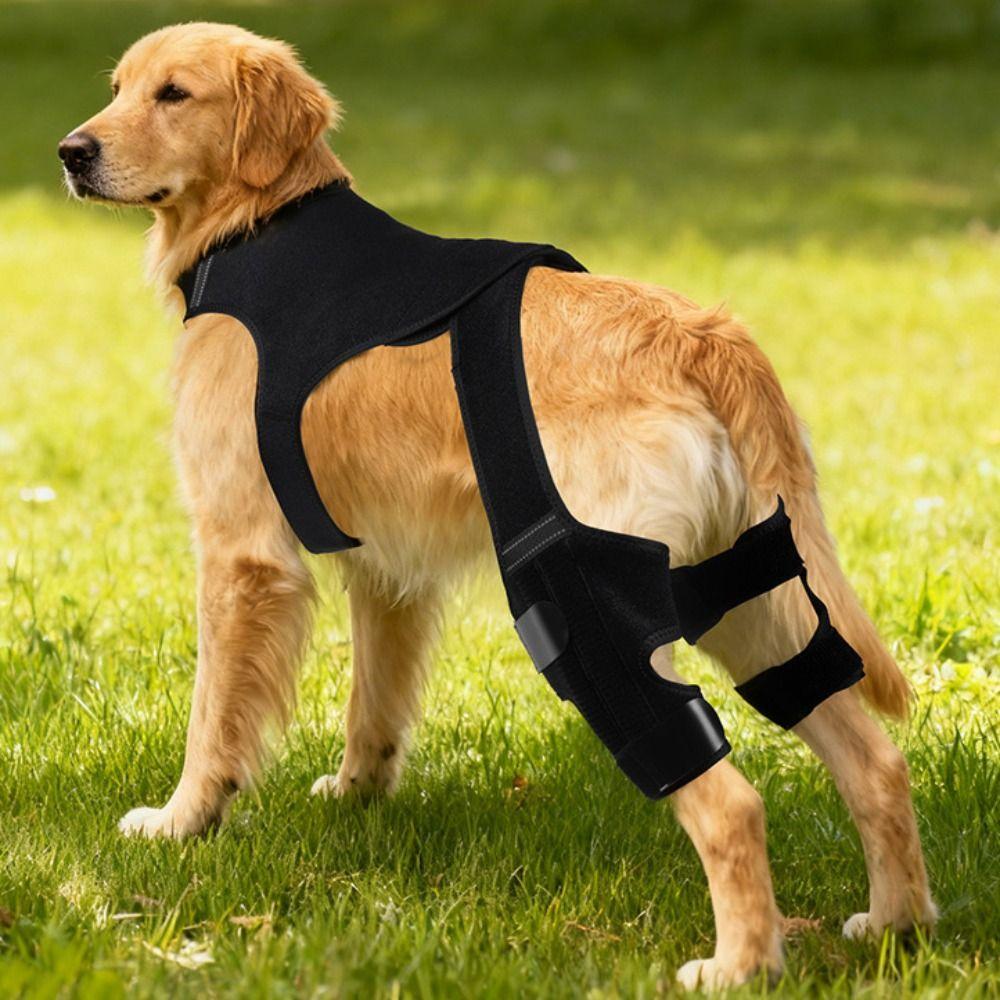 Tutore Posteriore Regolabile per Cane Copertura Protettiva Traspirante per Gomito Tutore per Ginocchio Cane Protezione Ferite