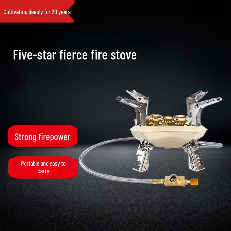 Beifu Portable High-Power Gas Stove Kit