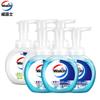 Foaming Hand Soap Family Combo Pack