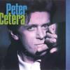 LP Record PETER CETERA  Solitude Solitaire 125474 WARNER BROS 1986 US Rock Used