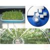 100Pcs/sheet Hydroponic plant Sponge Garden Cultivation Seedling Soilless Culture Planting tools Vegetables Nursery Pots trays