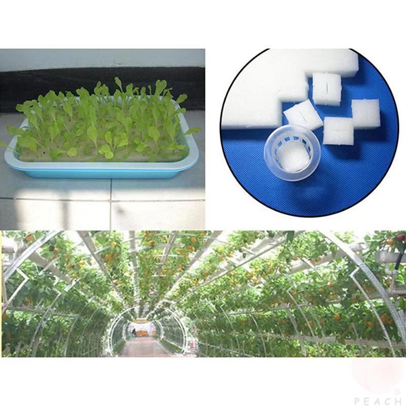 100Pcs/sheet Hydroponic plant Sponge Garden Cultivation Seedling Soilless Culture Planting tools Vegetables Nursery Pots trays