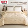 Hengyuanxiang Class A Antibacterial Brushed Warm Quilt