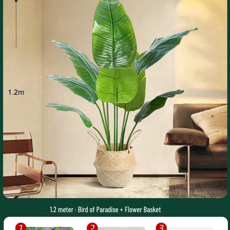 High-End Indoor Bird of Paradise Decor: Luxury Potted Traveler's Palm