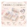 Underwear Storage, Underwear Storage Case, Underwear Storage Box, Accessory Storage, 9-piece Set (white)