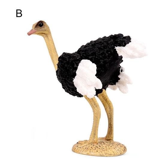 

Solid Simulation Animal Ostrich Model Home Decoration Accessory Model Display B