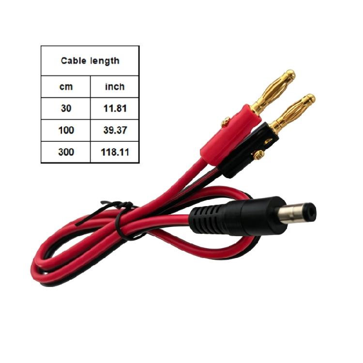 Câble DC5521 Mâle 14AWG vers Fiche Banane 4mm avec Disposition de Polarité Bicolore pour Travaux de Câblage en Laboratoire Scolaire et à Domicile